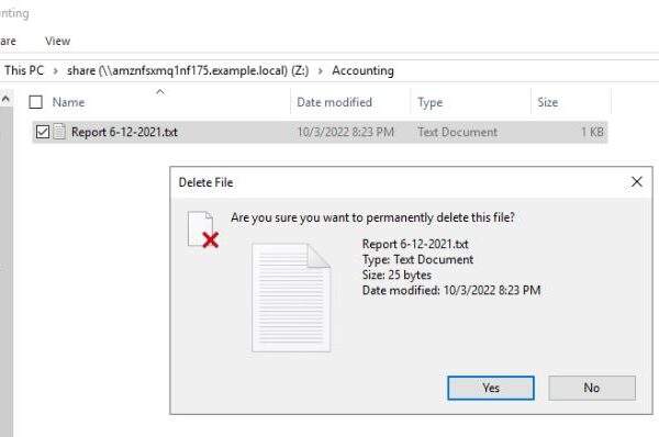 File storage access patterns insights using Amazon FSx for Windows File Server