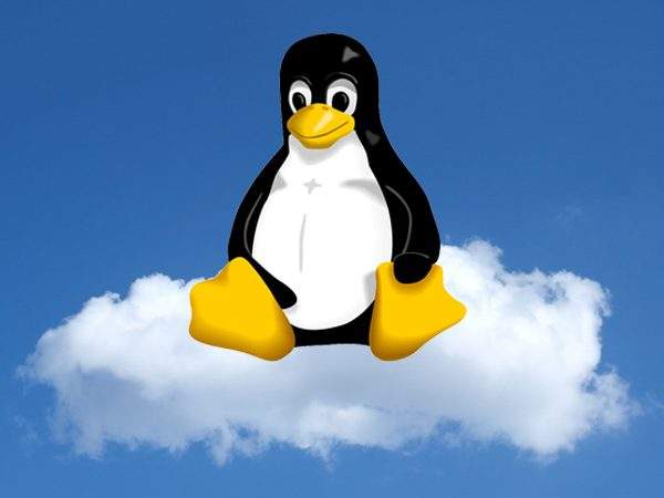 Linux In the Cloud